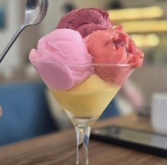 Gelato from the Jay Truck menu
